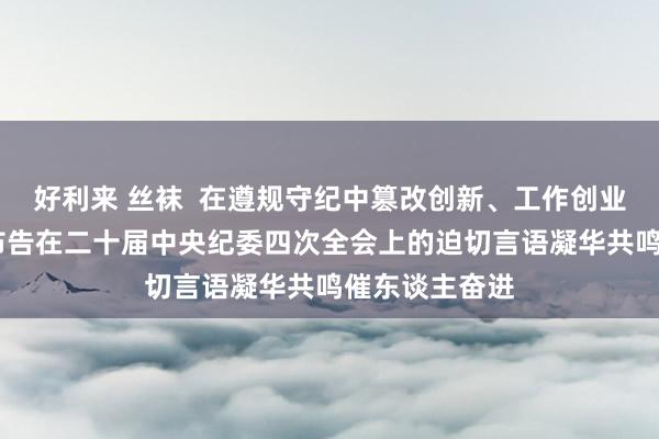 好利来 丝袜  在遵规守纪中篡改创新、工作创业——习近平总布告在二十届中央纪委四次全会上的迫切言语凝华共鸣催东谈主奋进