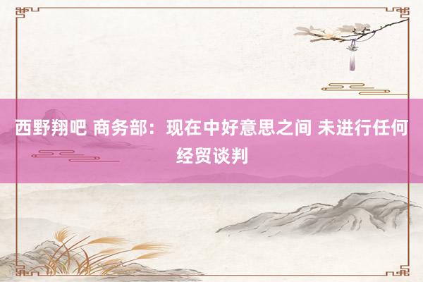 西野翔吧 商务部：现在中好意思之间 未进行任何经贸谈判